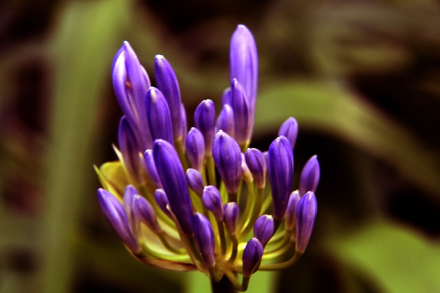 色的表现战 色的表现战