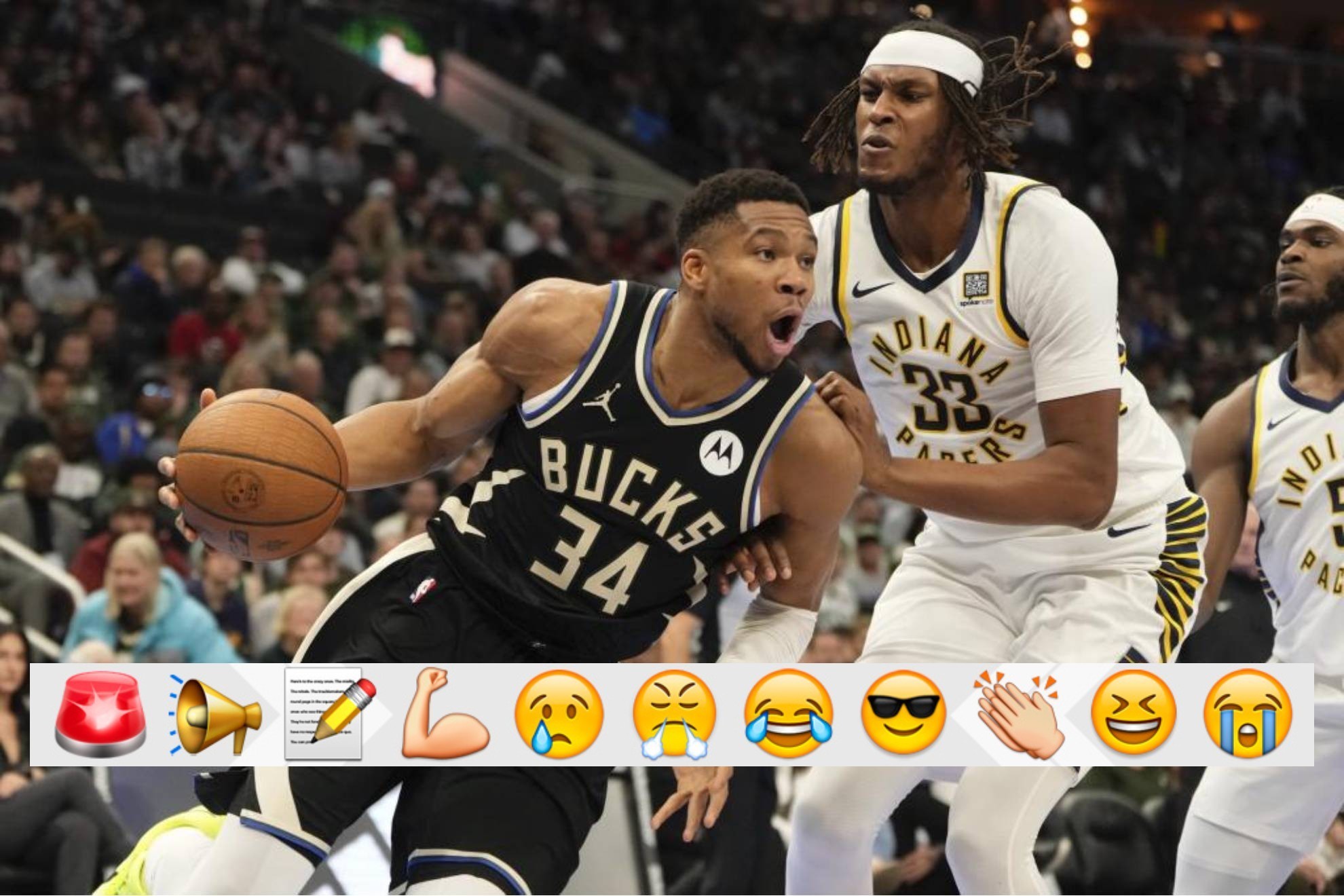 的训练环境 的训练环境